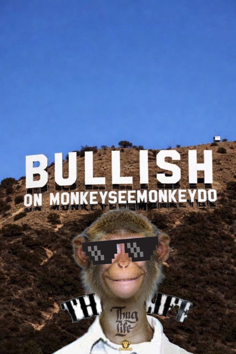 MonkeySeeMonkeyDo tweet media
