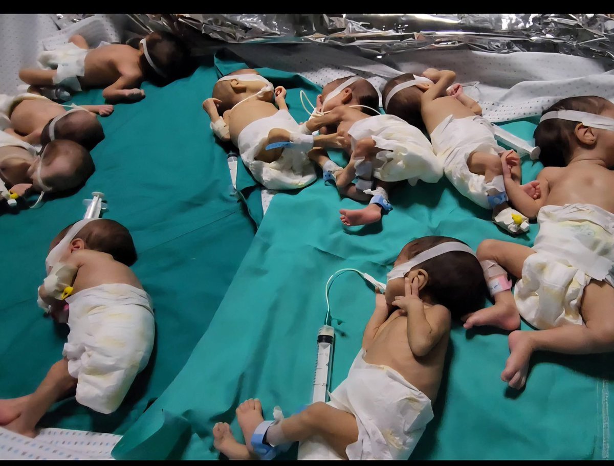 Gaza Notifications tweet media