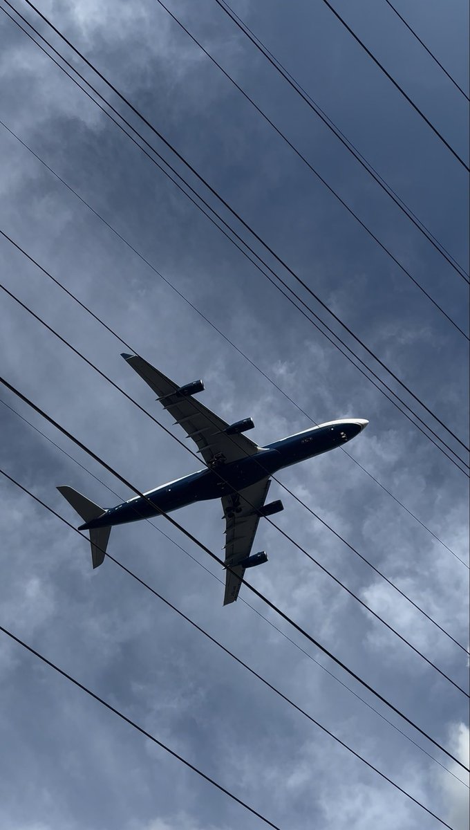 whyamihere tweet media