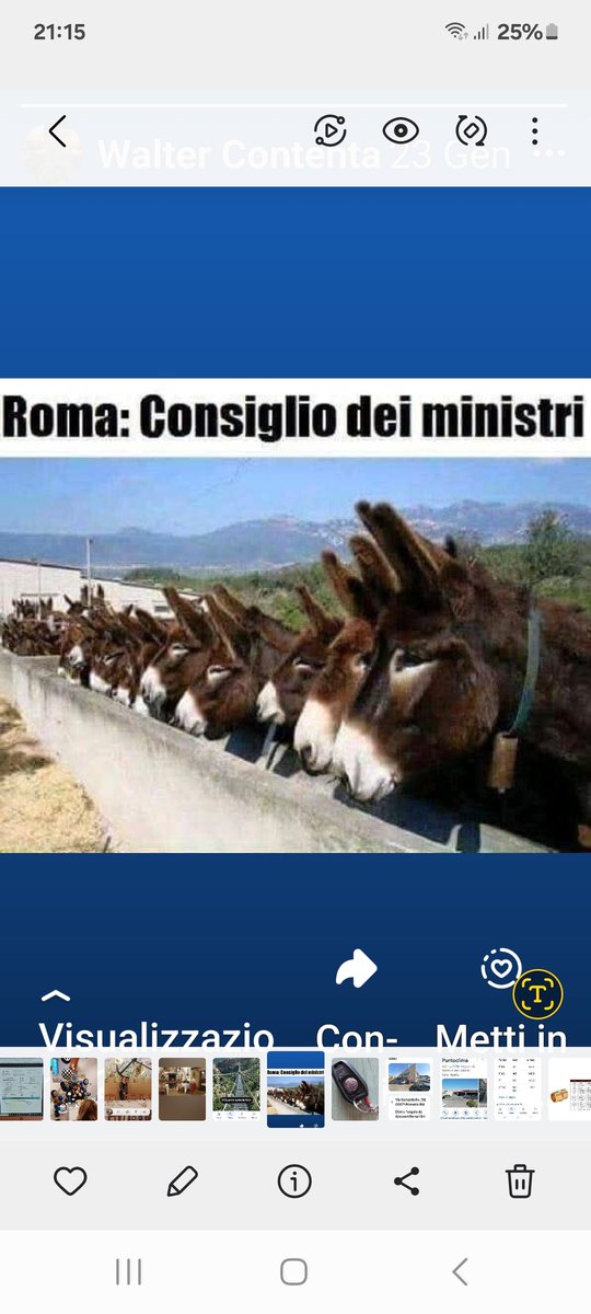 ContentaWalter's tweet photo. @FratellidItalia https://t.co/he335gLQlP