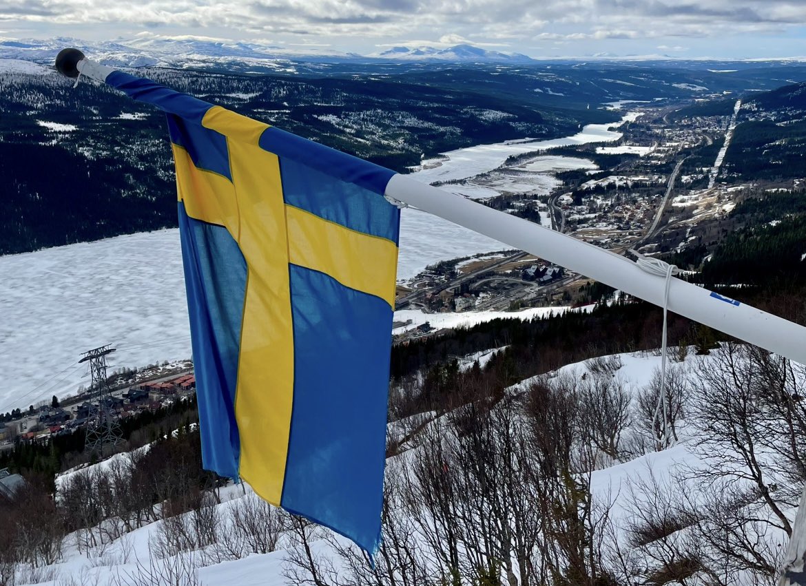 Pierre Hertin tweet media