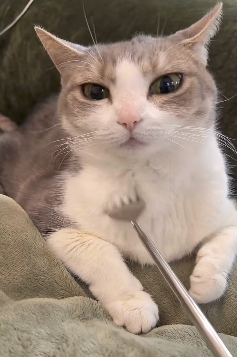 what a peculiar specimen...