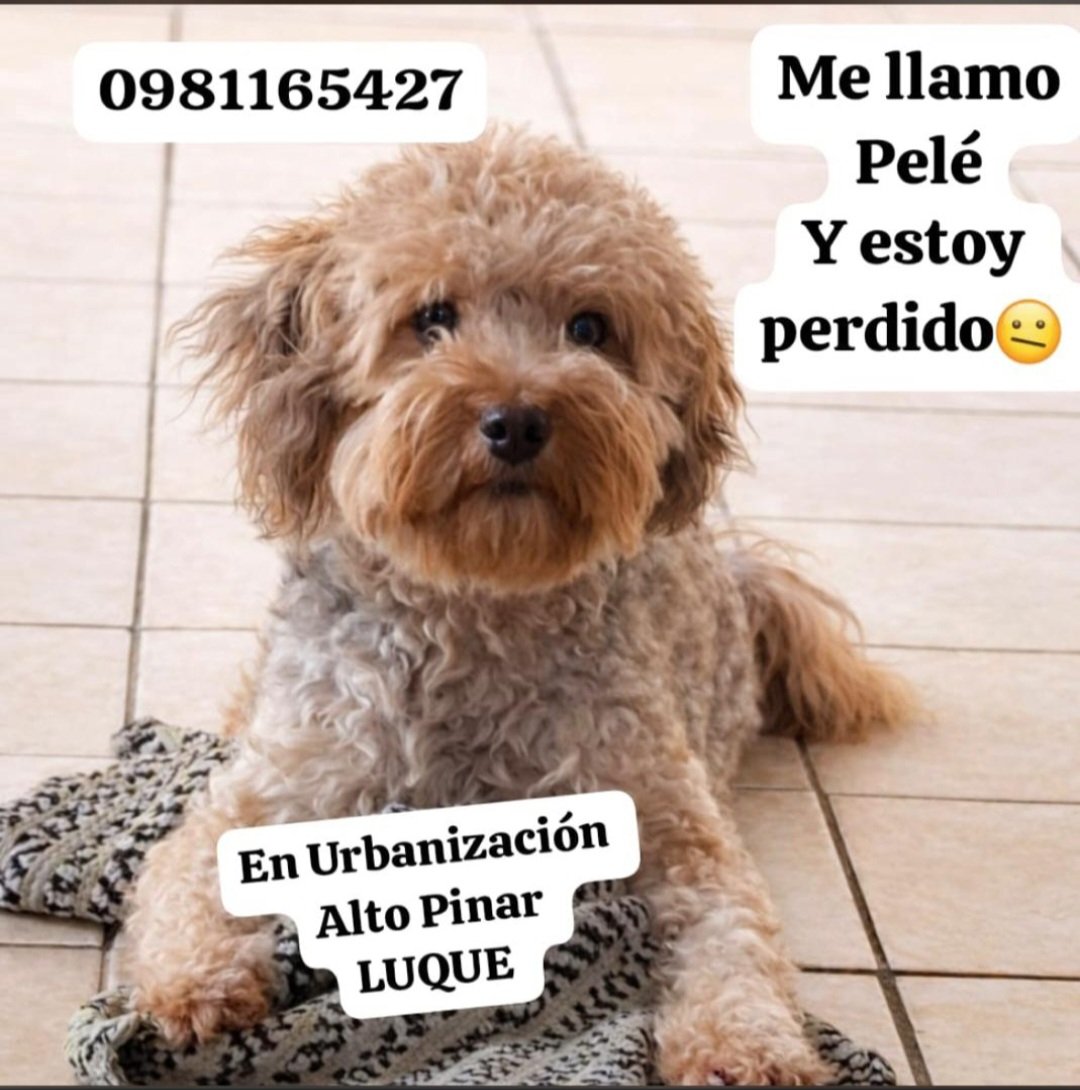 MiravalPy tweet media