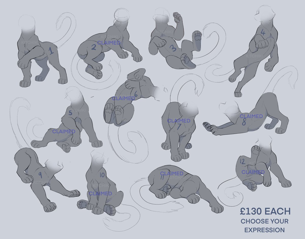 Kitchiki tweet media