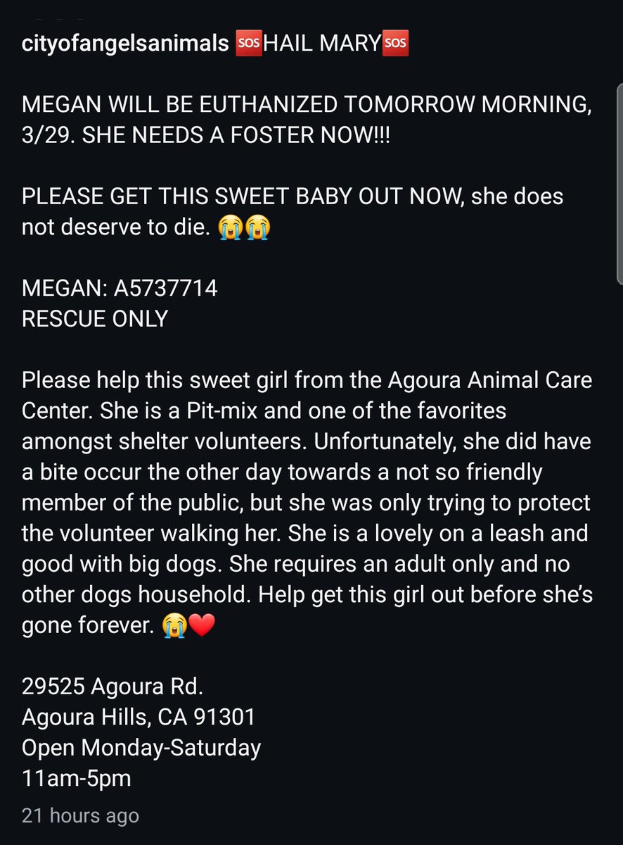 8415_n's tweet image. MEGAN #A5737714 was scheduled to lose her life yesterday. Nobody came to save her. 
She protected a volunteer who walked her against a public offender &amp;amp; bit him in defense.
They kill listed her for that. Volunteer is pleading for MEGAN's life. This #hero girl needs a #FOSTER NOW!
