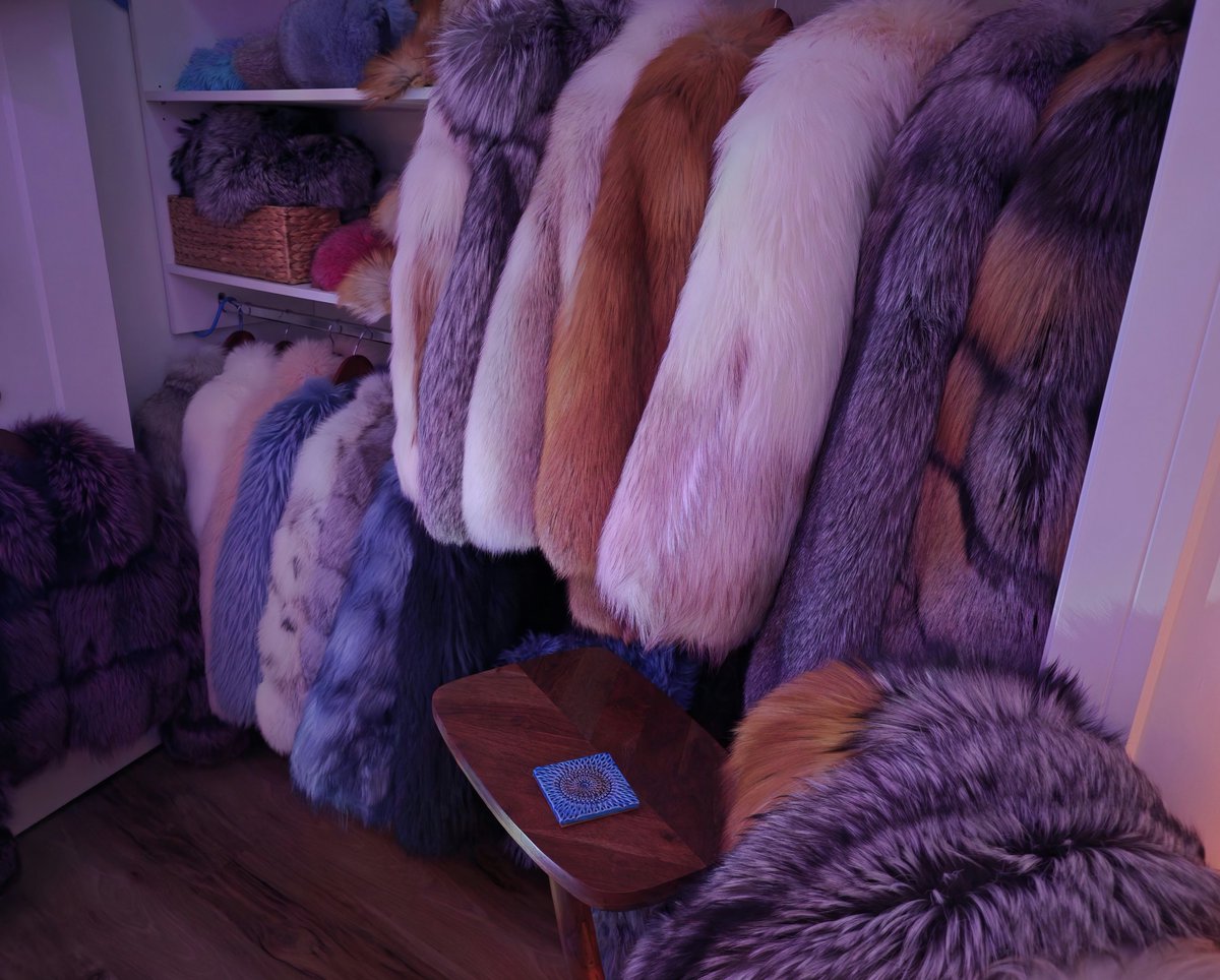 FurFetFun tweet media