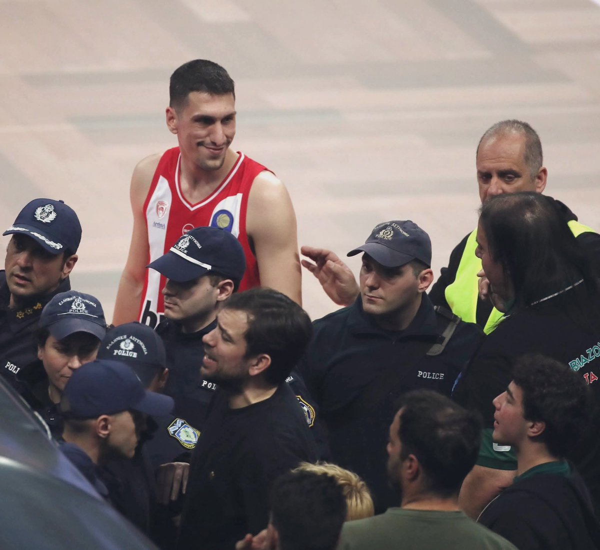 pinturicchio tweet media