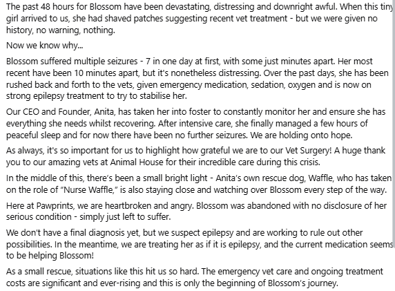 Pawprints Dog Rescue (UK) tweet media