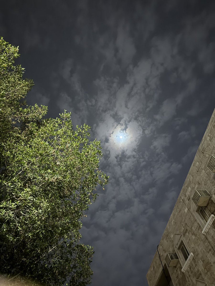 W a 🧸 tweet media