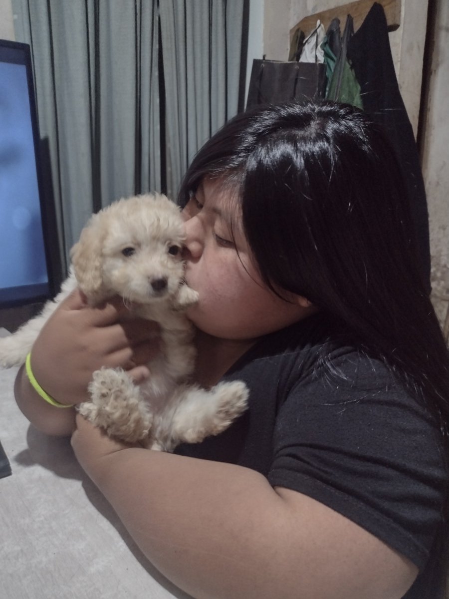 Noster Hoyls tweet media