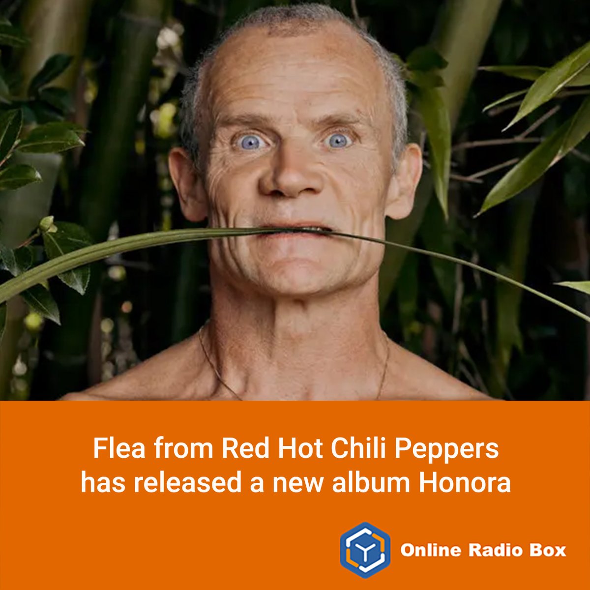 onlineradiobox's tweet photo. πΆ Flea drops new jazz-inspired album Honora! π·
Featuring Thom Yorke & Nick Cave, with a mix of originals and covers π€β¨
Listen to Flea now at https://t.co/T7yQtvMlrN π§
#Flea #RedHotChiliPeppers #Honora #MusicNews #OnlineRadioBox https://t.co/fhNYV4dSZ0