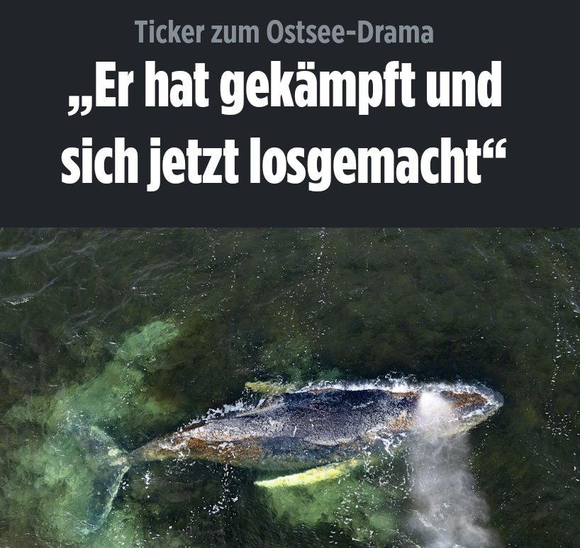 Siegvarg tweet media