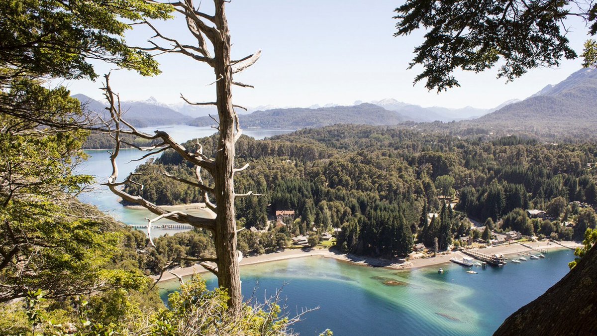 El Diario De VIAJE tweet media