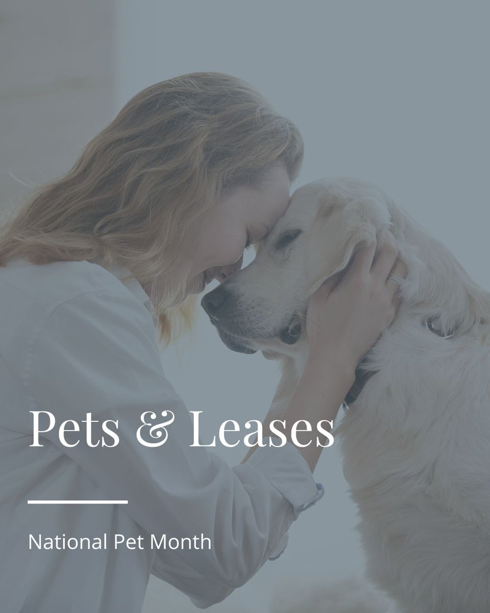 BryanAndMercer's tweet photo. If you’re buying a leasehold property, don’t forget to check whether the lease allows pets. Some leases include restrictions/require freeholder consent. Our conveyancing team will review the terms carefully so you know exactly where you stand before you move in
#NationalPetMonth https://t.co/0u1Xxnmezc