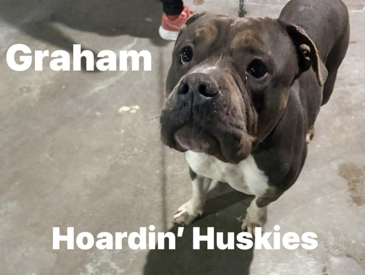 @PawsnTails4TX 🇺🇸🇺🇸🐾🐾 tweet media