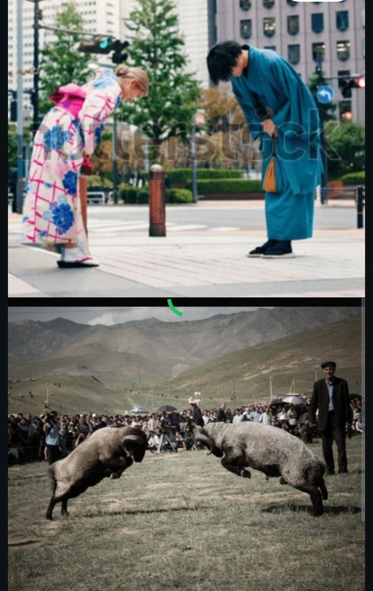 Nutella🍫 tweet media