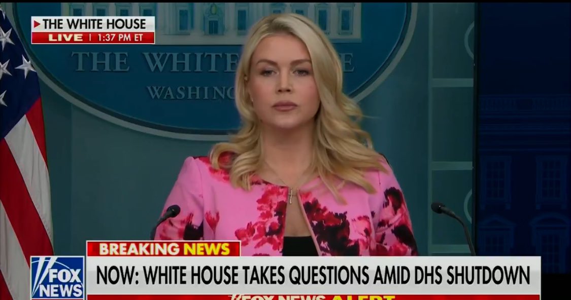 أحمدصالحAhmd Saleh tweet media