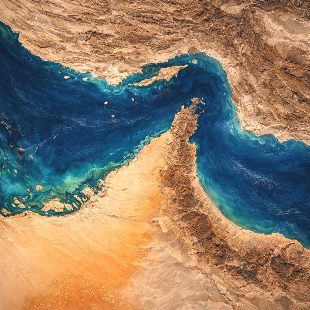 Daley WarRoom tweet media