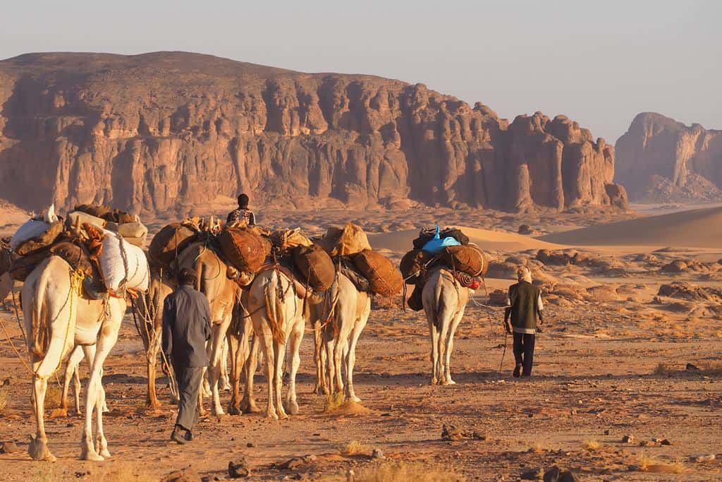 James Hall tweet media