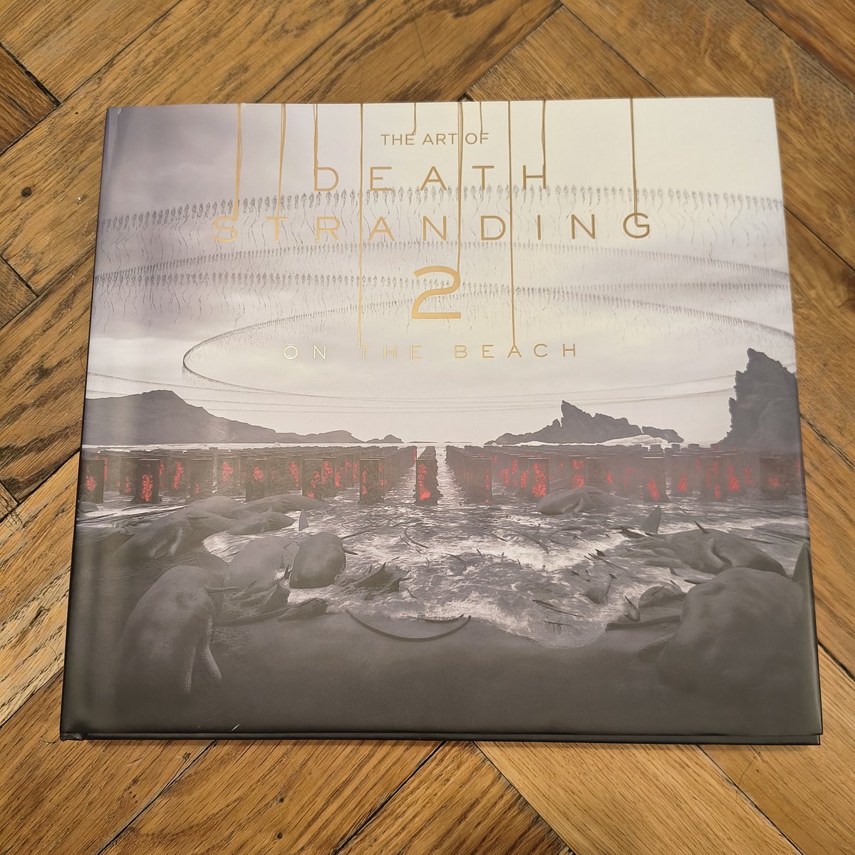 BcA. Meowbarkgirl^-^🔆🏳️‍⚧️✨️ tweet media