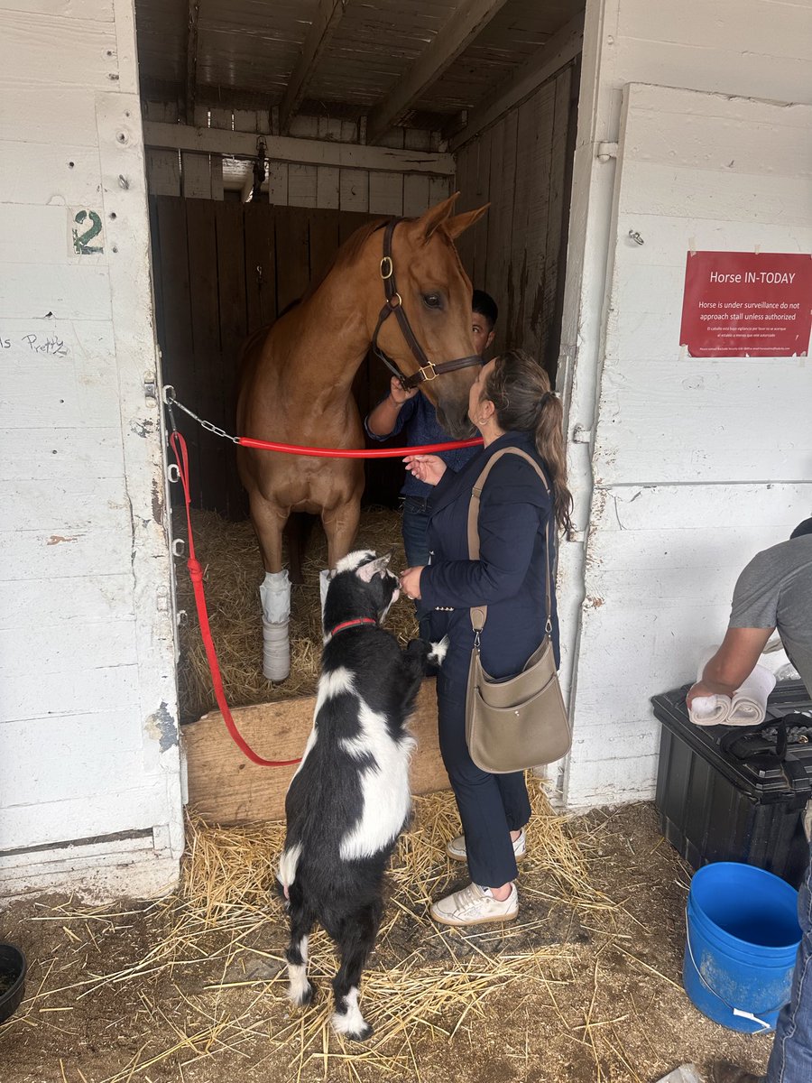 Cherie DeVaux tweet media