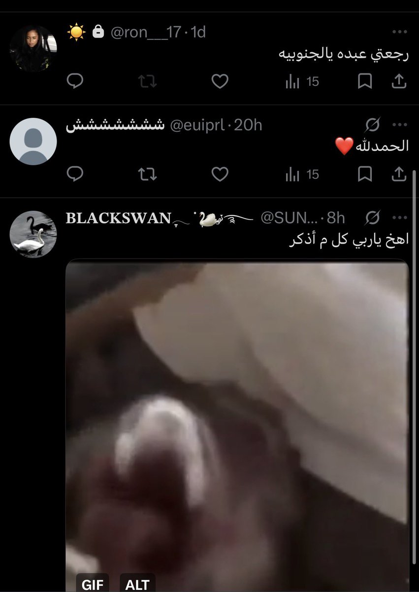 @safediistance tweet media