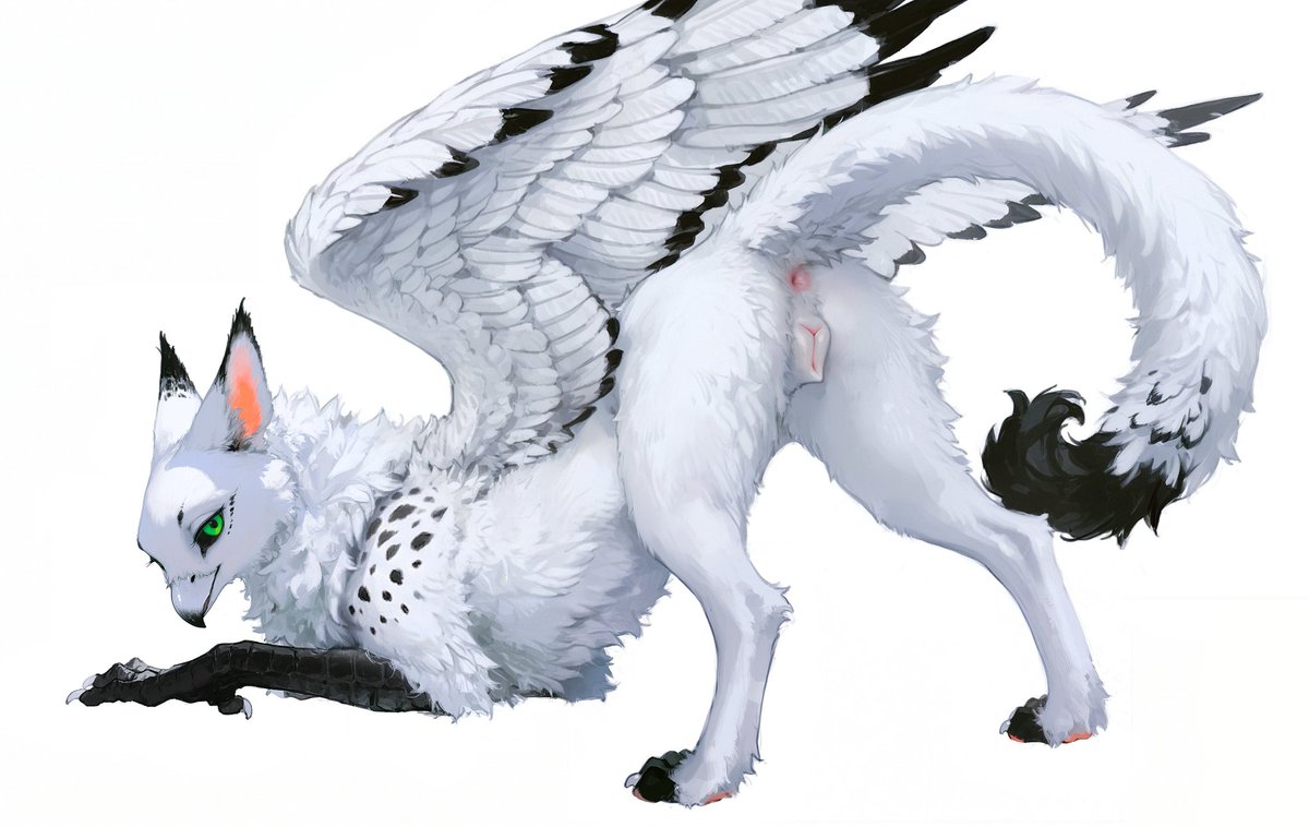 ShadowTheVelari's tweet photo. Design for my new VRC gryphon avi 🙃 https://t.co/4LEXER0ELM
