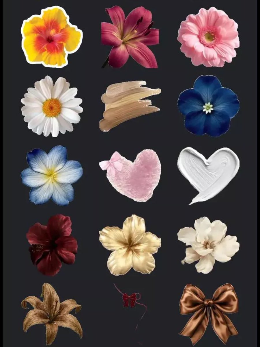 مَيساء | Miysa tweet media