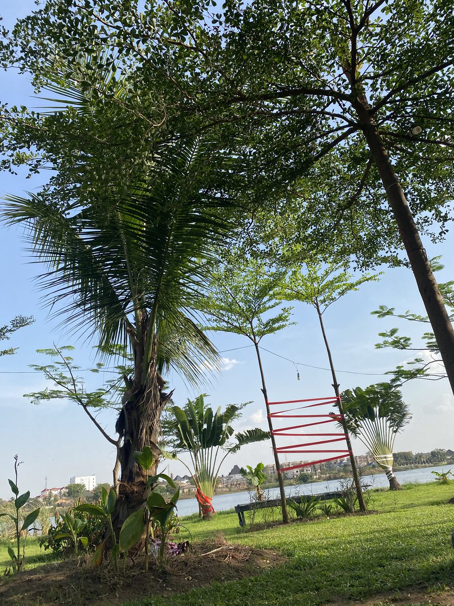 MBA 👑🚀 tweet media