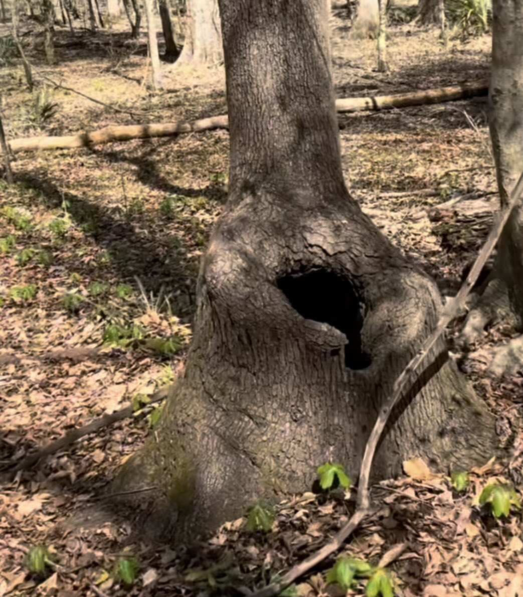 ฿₳₮₮ⱠɆ ฿ɎⱤĐ tweet media