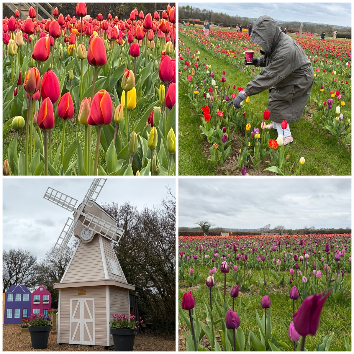 V&M Hair tweet media