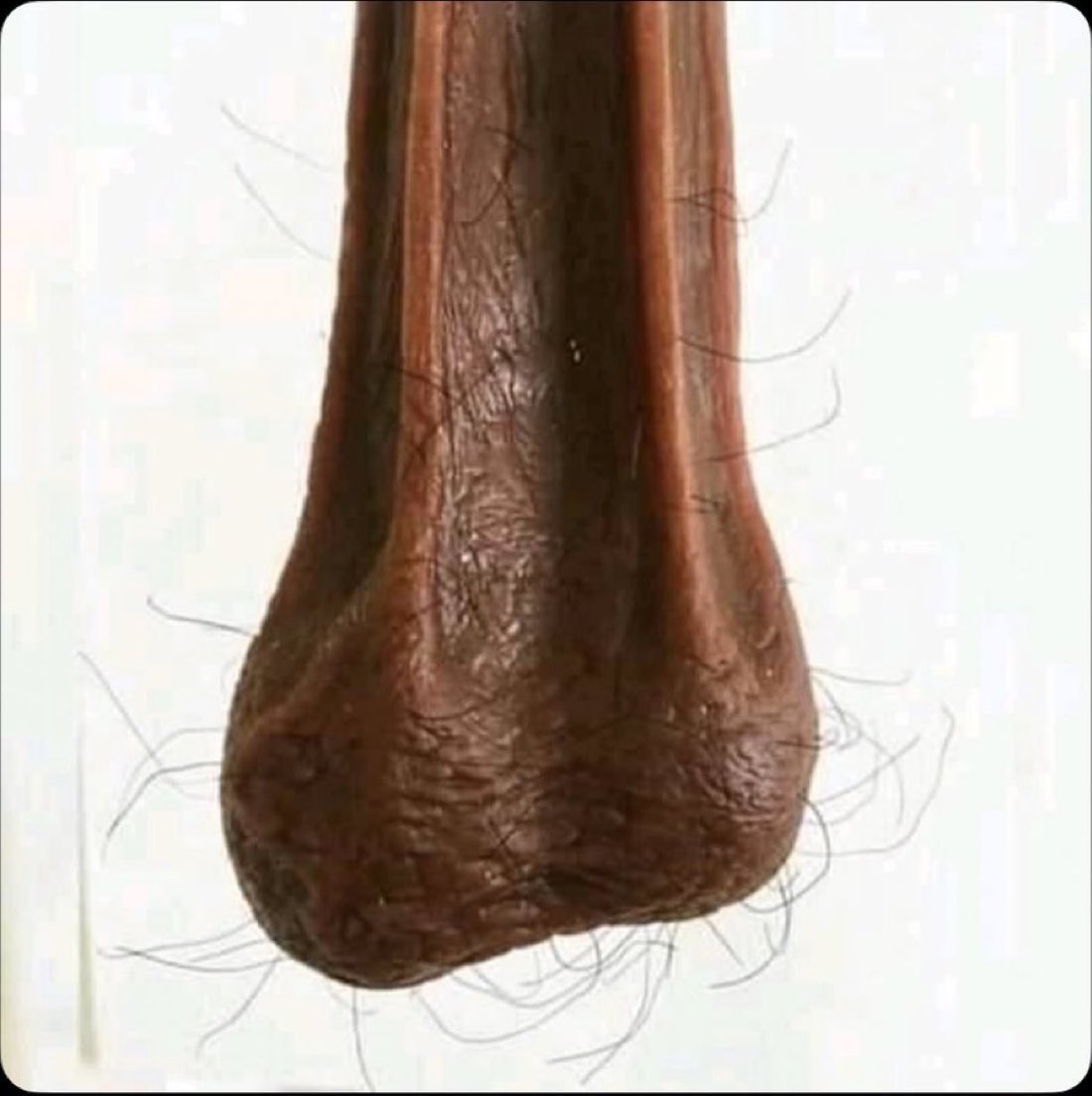 ༒DJ༒ tweet media