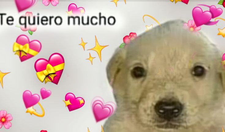 Xx_Zack_Gamer_380_xX tweet media