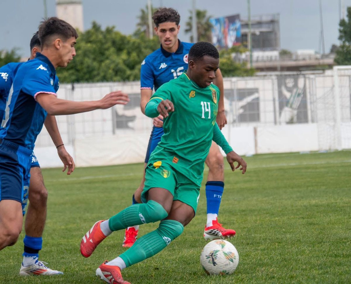 FFRIM - عربي tweet media