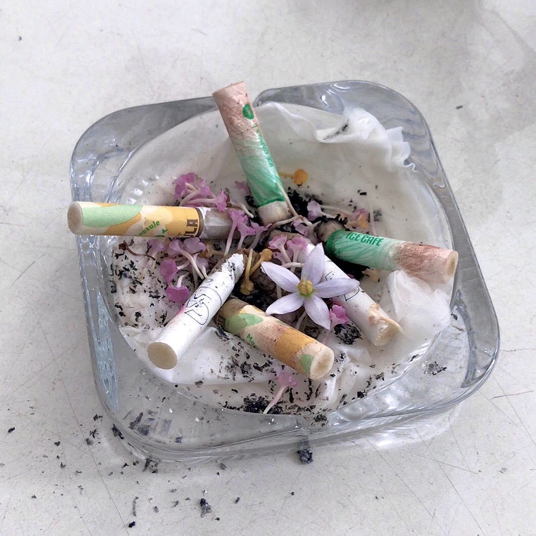 winifer.ᐟᲘ𐑼 | DECAYDANCE!! tweet media