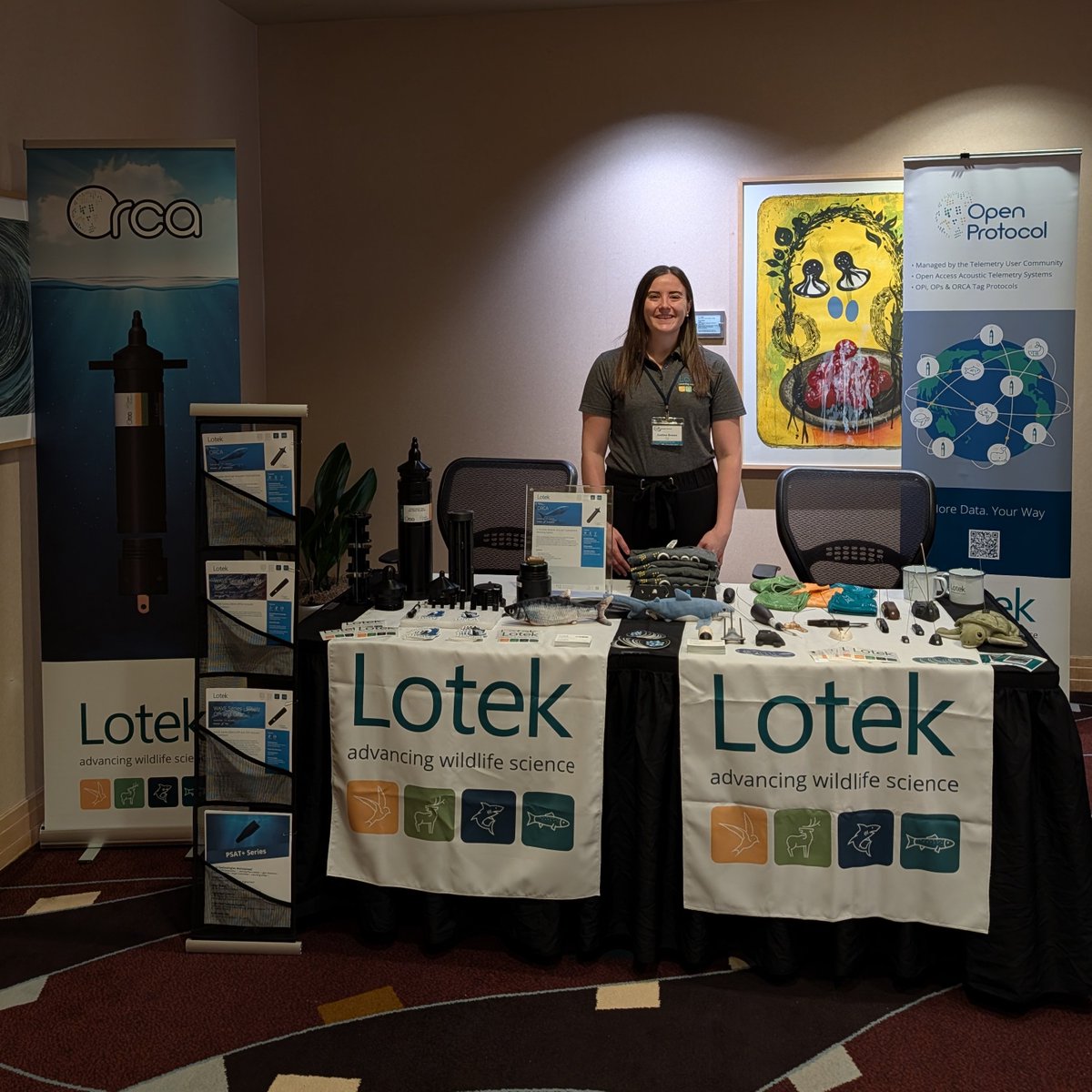 LotekWireless's tweet photo. Lotek is at the ACT Network Meeting (Mar 30–31) at the Heldrich Hotel, New Brunswick, NJ!

Stop by the foyer outside the Merchant Amphitheatre to meet our marine telemetry specialist Justine and chat all things ORCA & WAVE 💦

Let’s talk acoustic, satellite, archival & VHF tags—see you there!