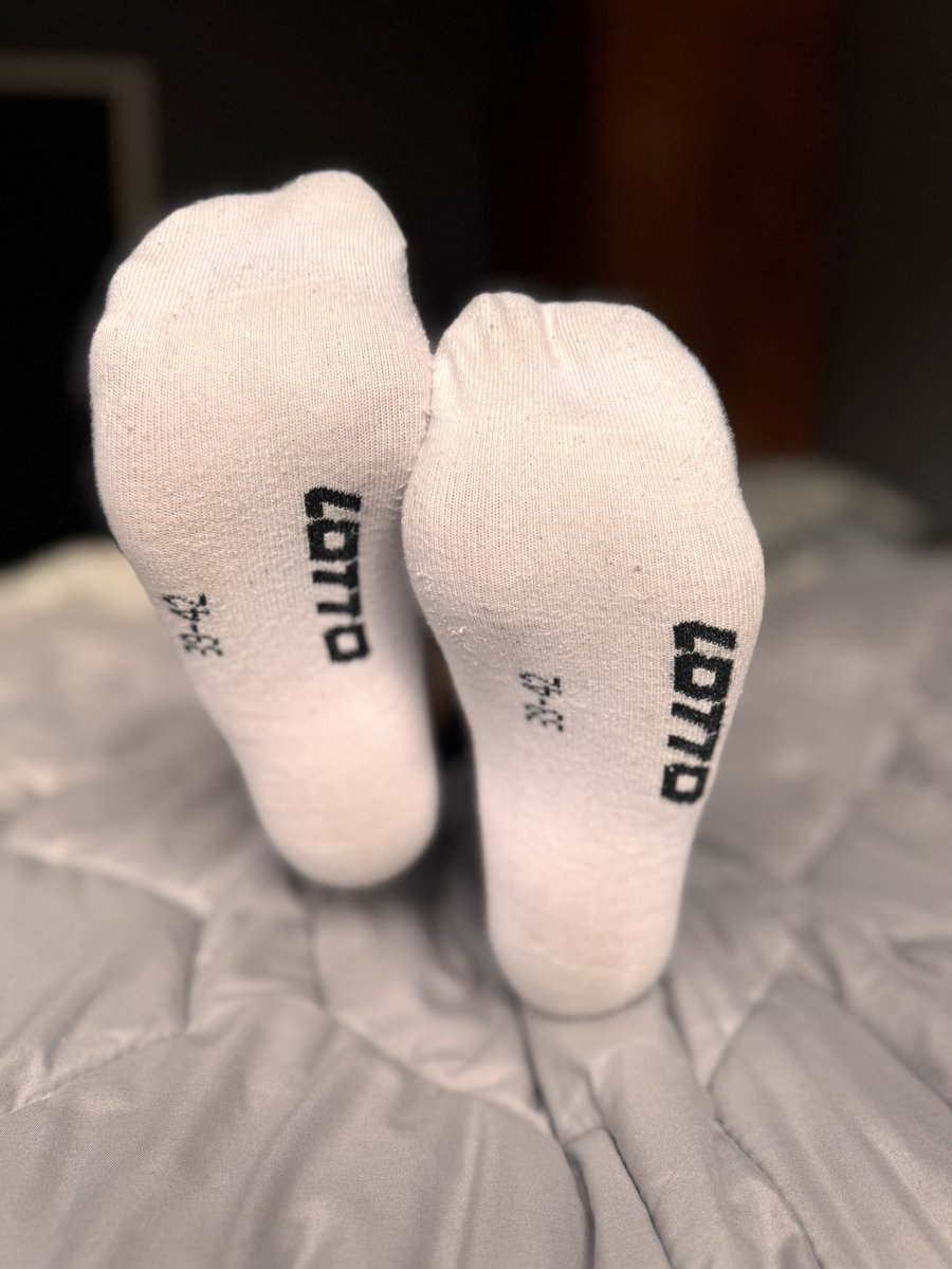 LuneFreya tweet media