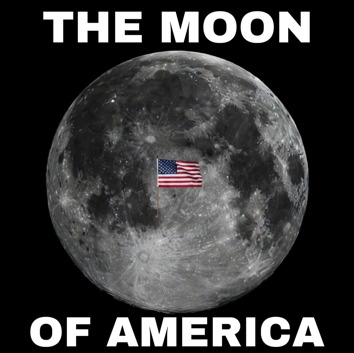 Lancevideos tweet media