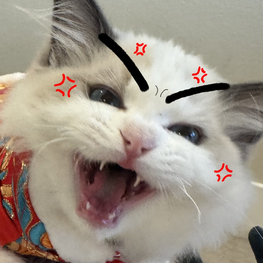 Mia Sova 🦉❄️ Villainess tweet media