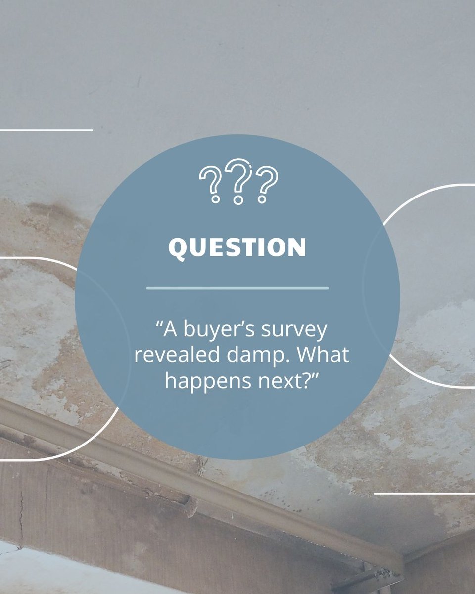 BryanAndMercer's tweet photo. Common next steps include arranging a specialist report, renegotiating the price, or asking the seller to carry out repairs. We’ll guide you through your options clearly so you can move forward with confidence.

#ConveyancingUK #HomeBuying #StAlbans https://t.co/5ekV4xTtTu