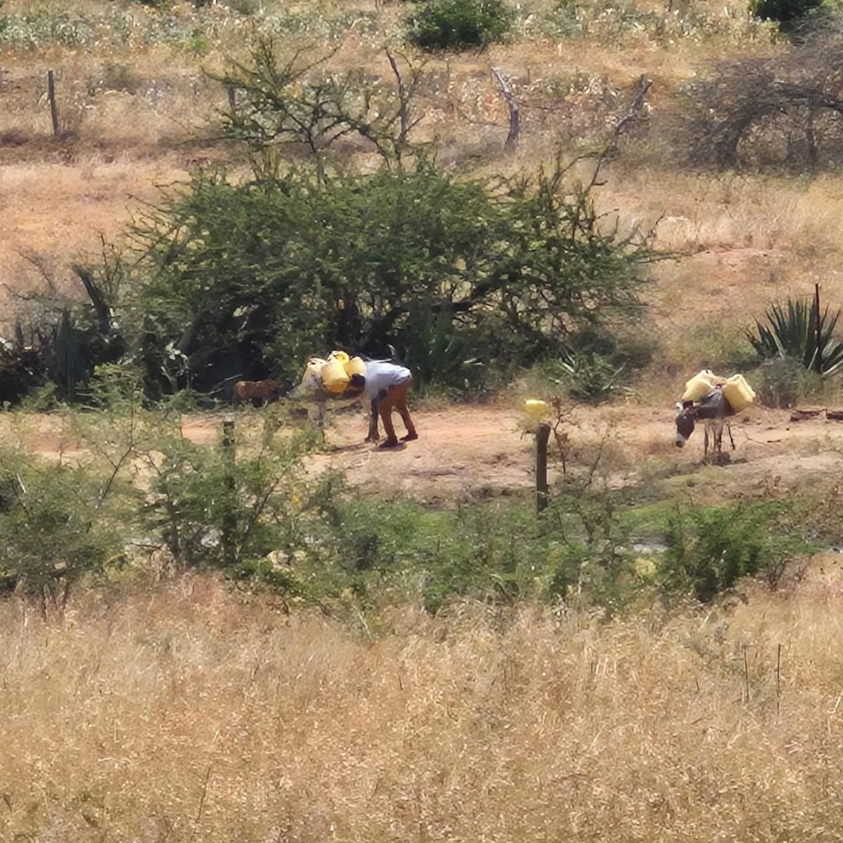 Shalom To The Nations International tweet media