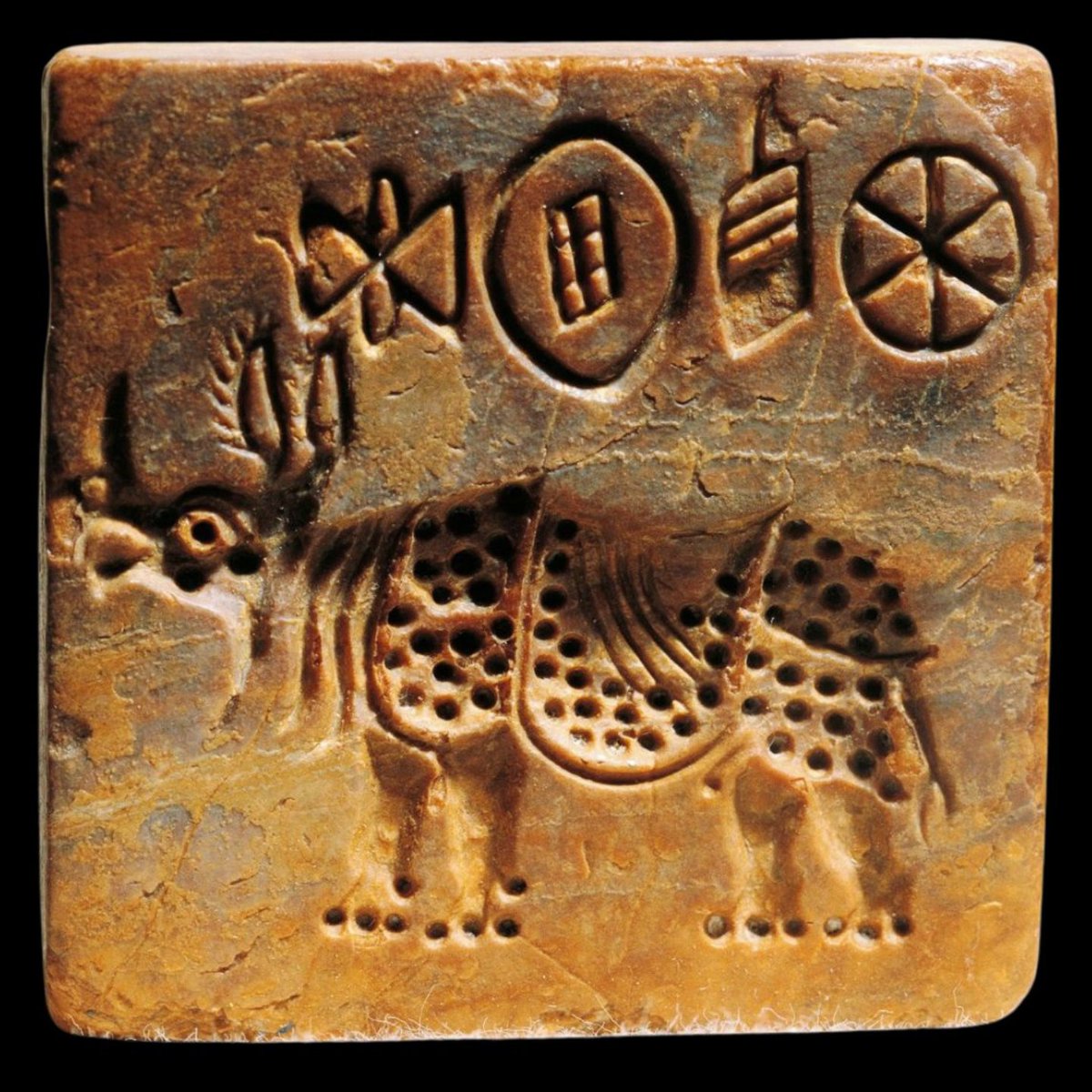 History Content tweet media