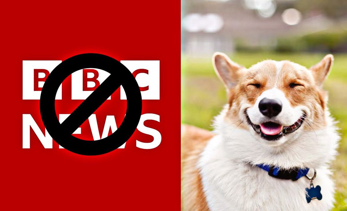 Simon_Scissorhands tweet media