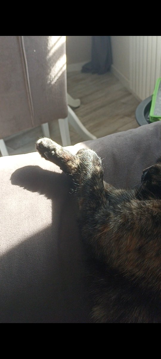 Evgen 3% GEN tweet media