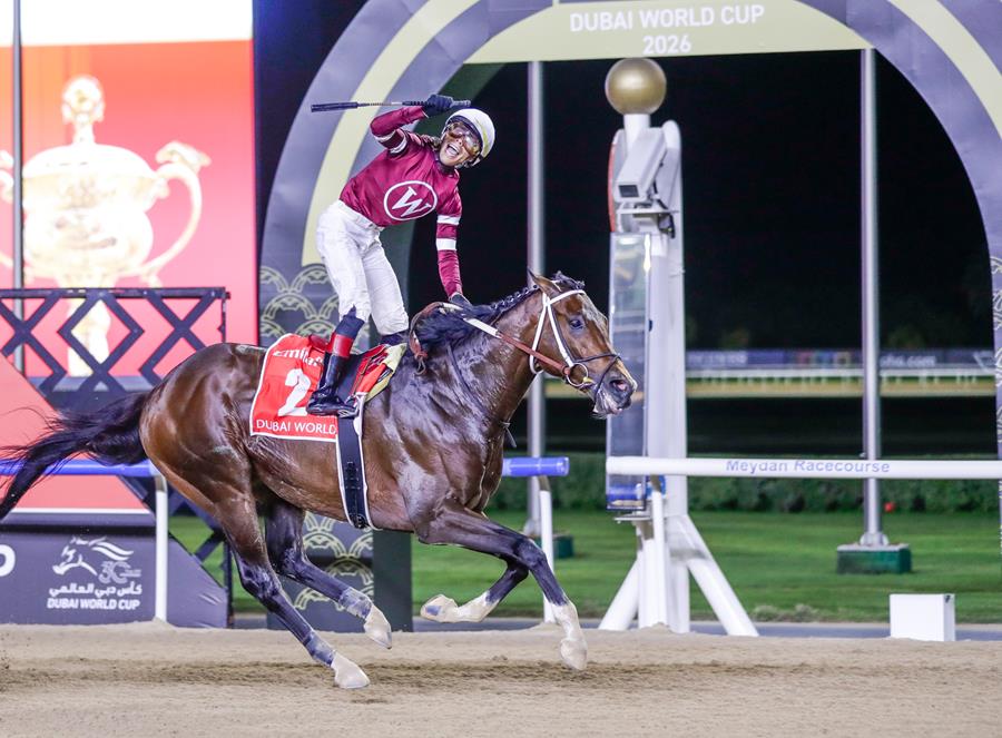 Julio Guimaraes tweet media