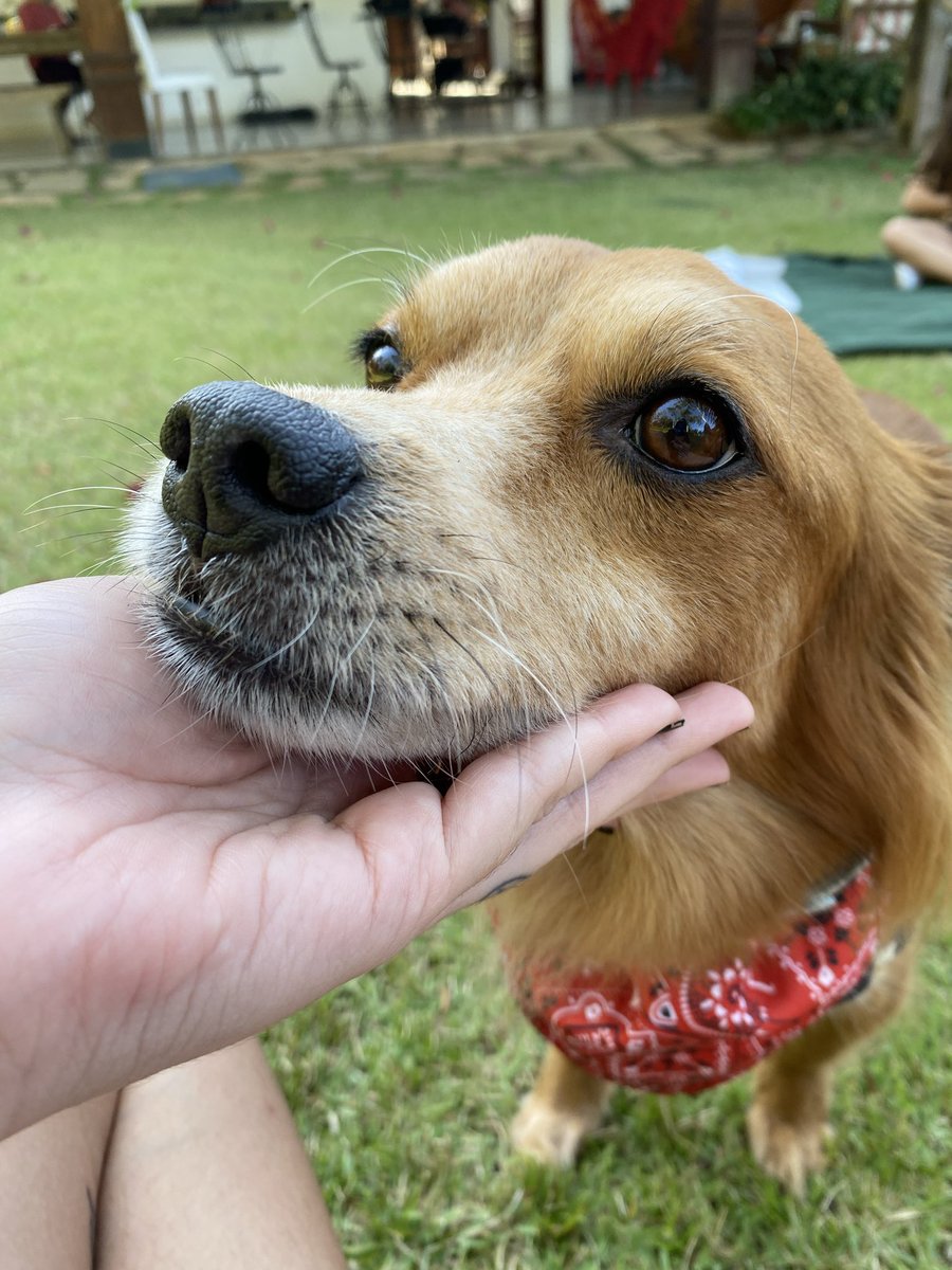 Vera Fischer Era Clubber tweet media