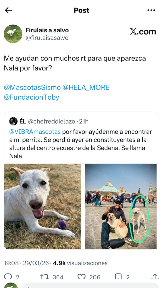 Ya apareció y está en casa a salvo

😍😍😍😍

Borro los tuits

Gracias siempre