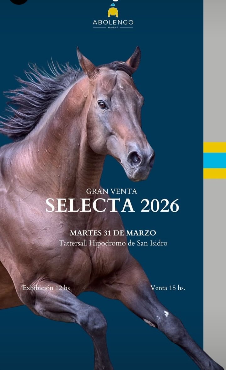 Julio Guimaraes tweet media