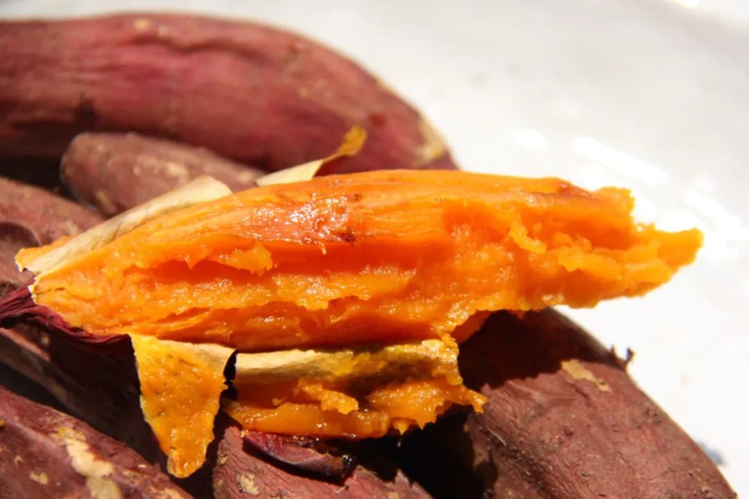 A Lovely Disaster tweet media