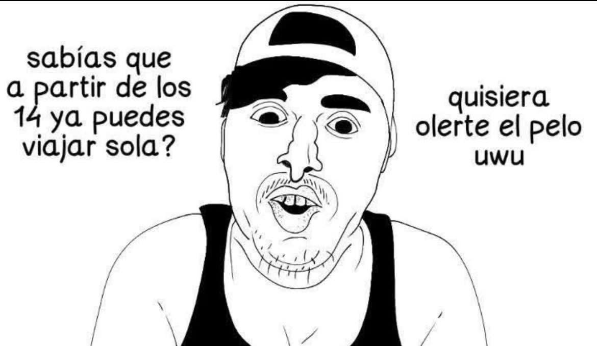 Kuandru氷🦁 tweet media